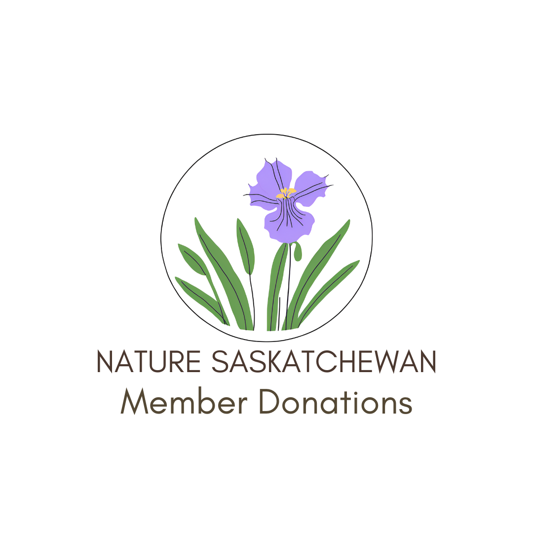 NS member donations