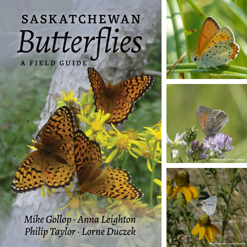 Saskatchewan Butterflies promo image