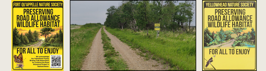 Road allowance images