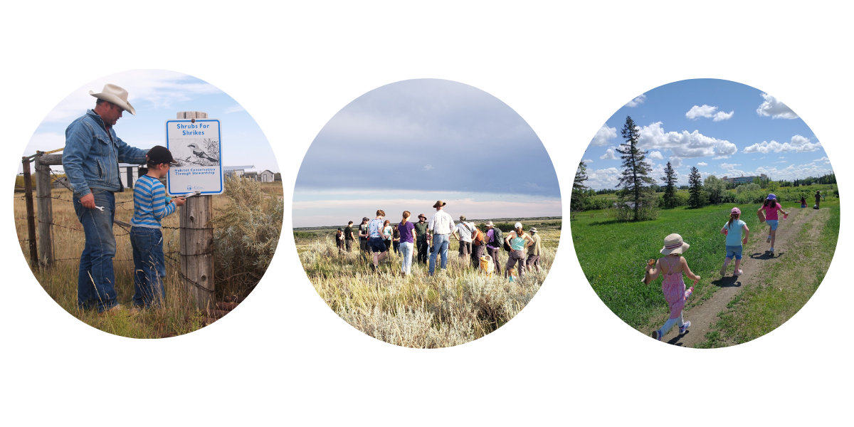 what we go image collage