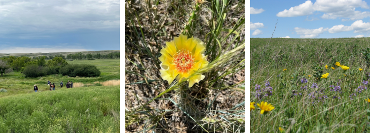 nature sanctuary images