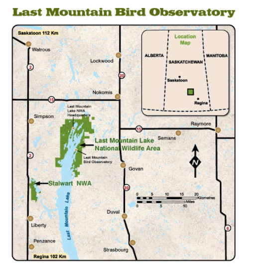 Map of LMBO