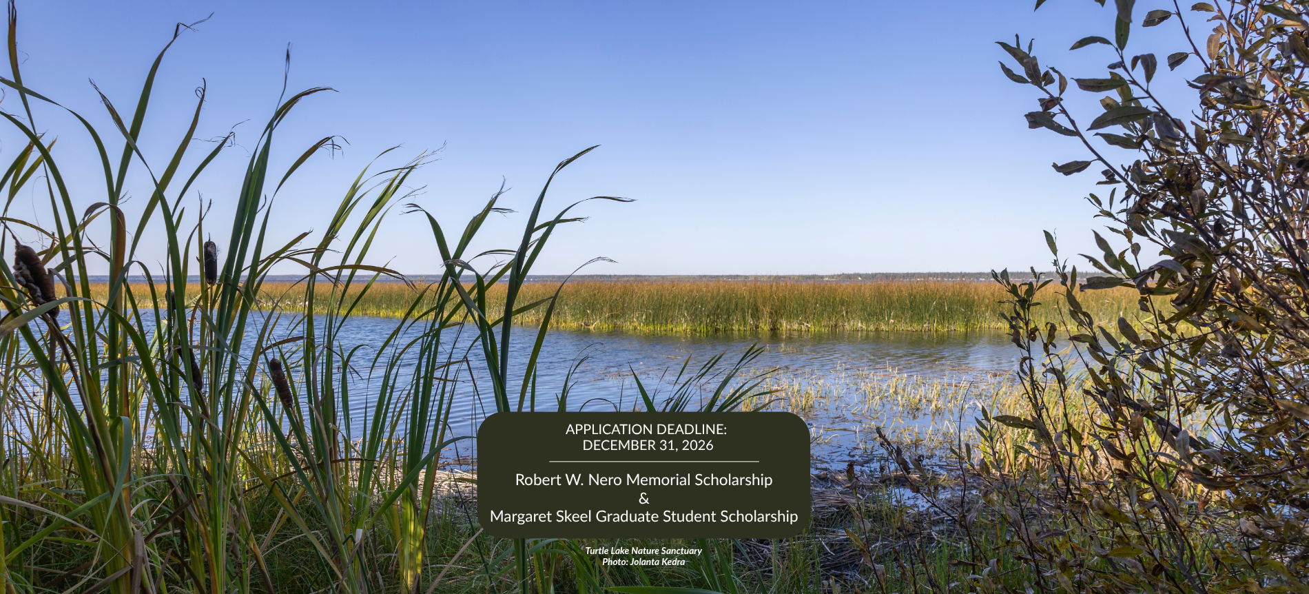 photo of turtle lake nature sanctuary