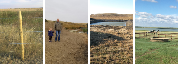 Habitat Enhancement project photos