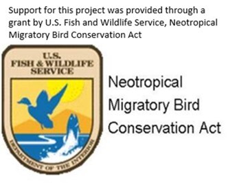 NMBCA logo