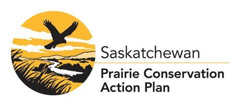 SK PCAP logo