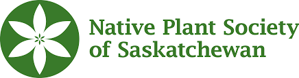 NPSS logo